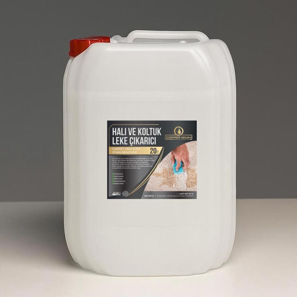 KOLTUK VE HALI LEKE ÇIKARICI